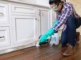 Best Pest Prevention Services  in Merryville, LA