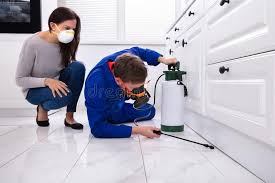 Best Real Estate Pest Inspections  in Merryville, LA